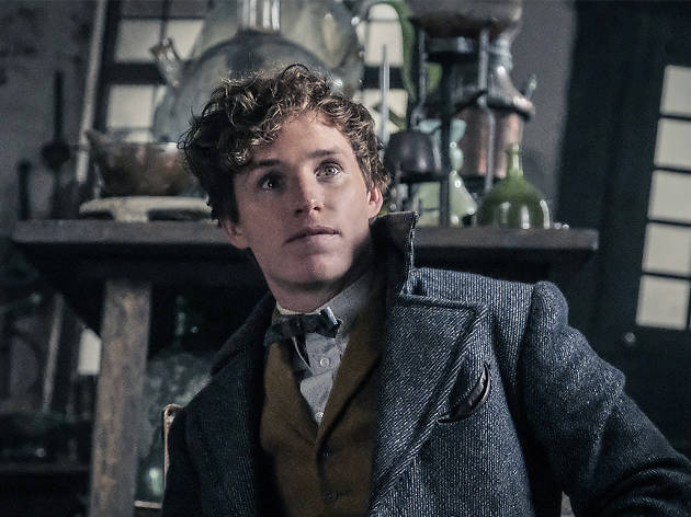 Eddie Redmayne FANTASTIC BEASTS 2