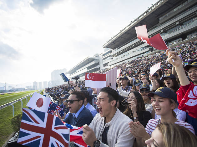 Horse racing cheering Horse racing cheering