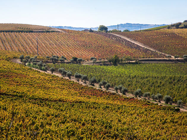Quinta da Chocapalha