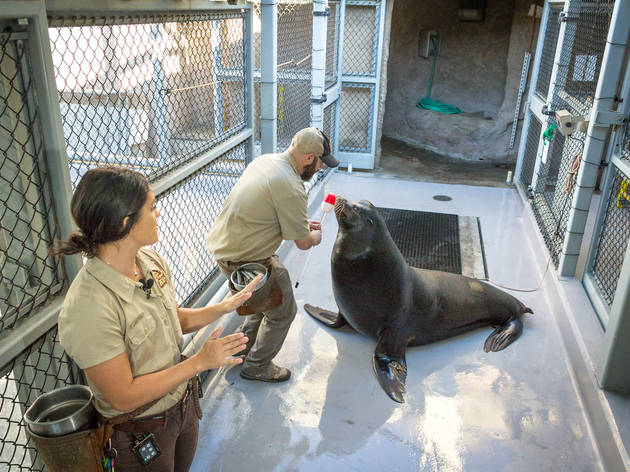 Wild Adventures: Behind the Scenes Tours Wild Adventures: Behind the Scenes Tours
