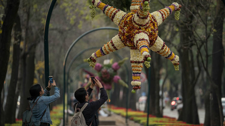 Exposición Piñatas y flores (Foto: Cortesía Festival Flores y Jardines)