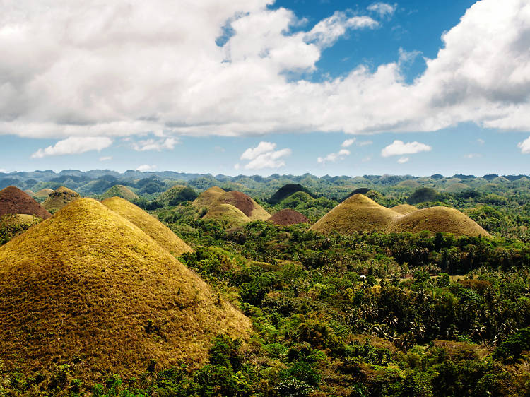 Bohol