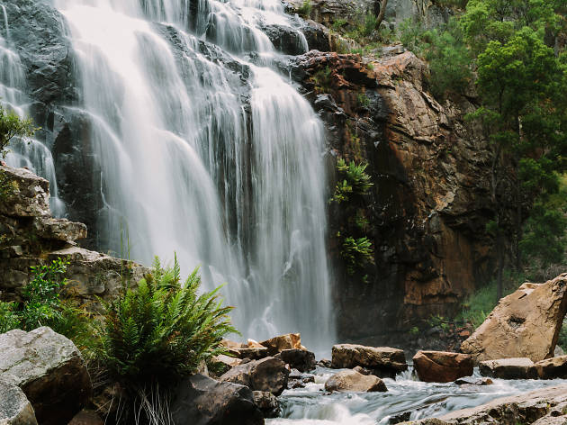 The 10 Best Waterfalls In Victoria Waterfalls Near Melbourne