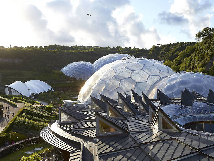 - Explorez la plus grande forêt tropicale intérieure au monde à l’Eden Project