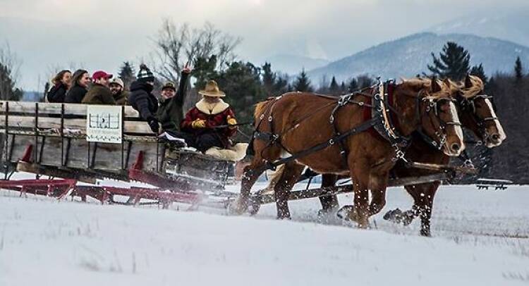 Adirondack Sleigh Rides at Country Dreams Farm