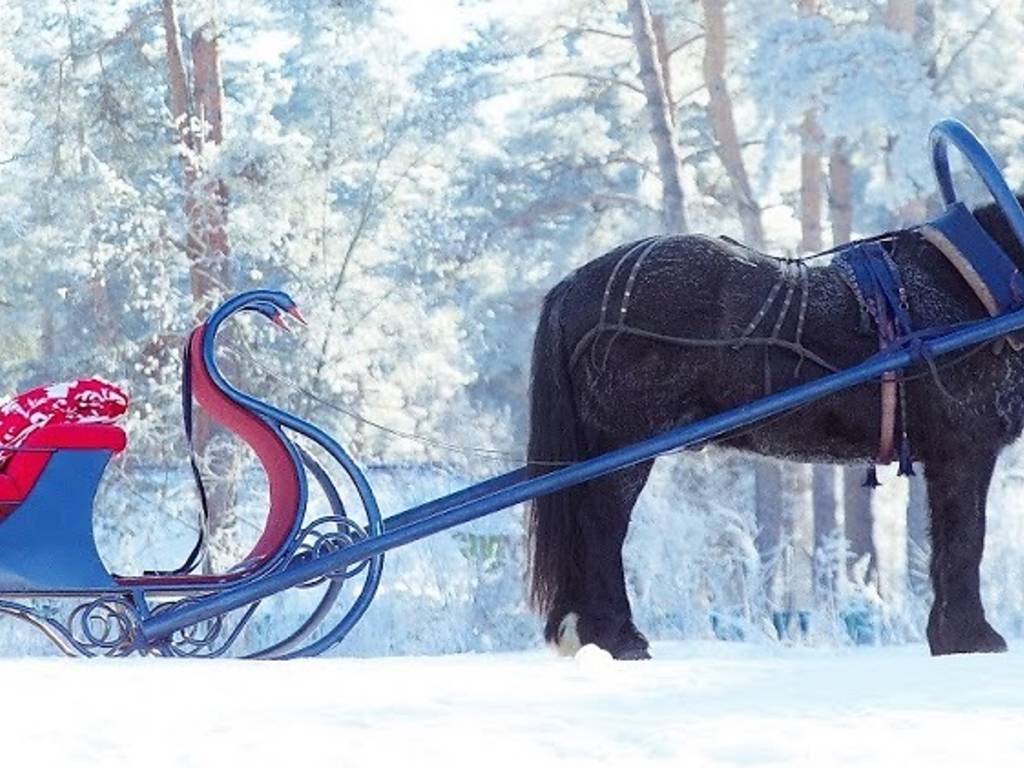 7 Best Sleigh Rides for Families To Take This Winter