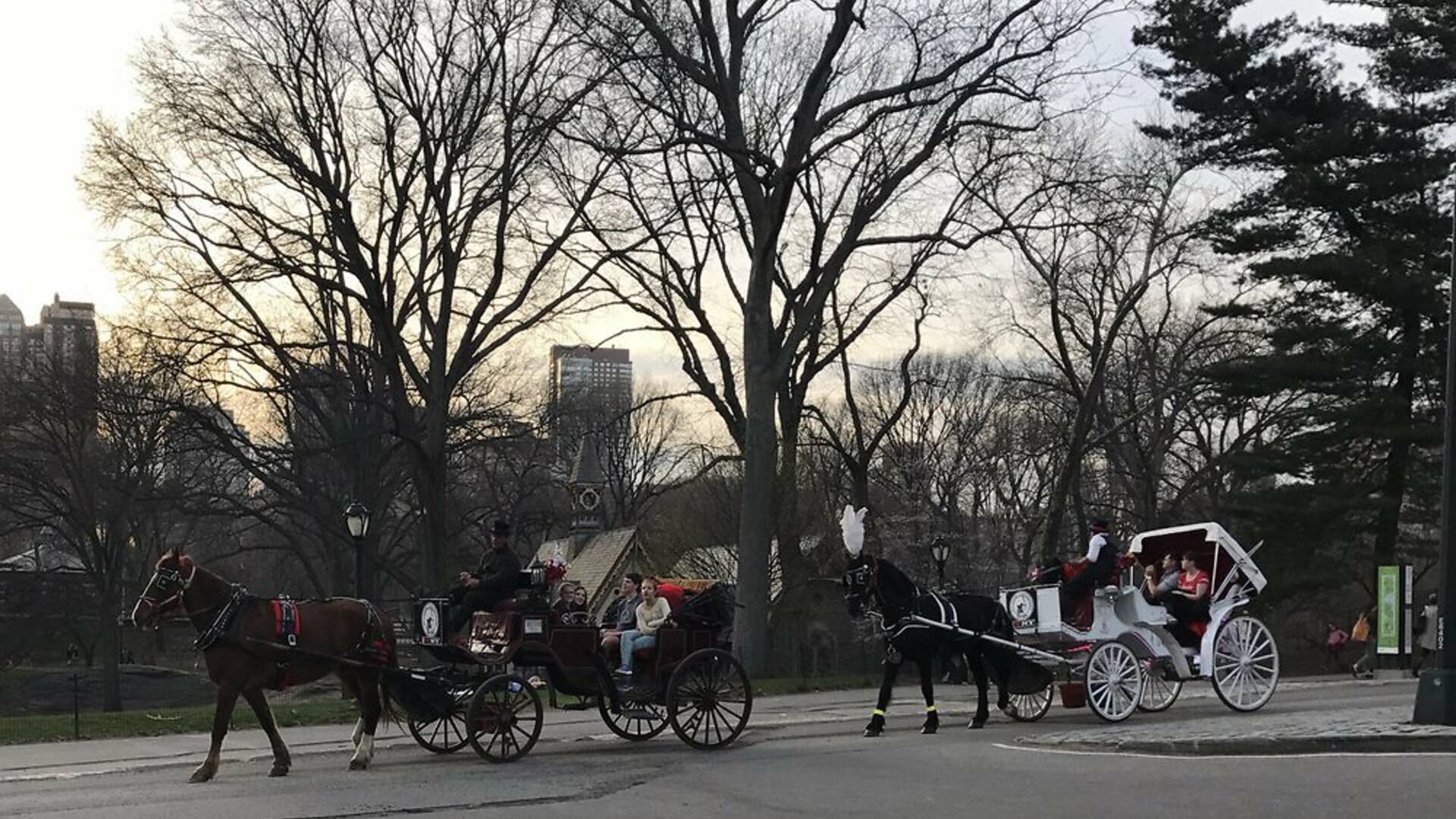 7 Best Sleigh Rides for Families To Take This Winter