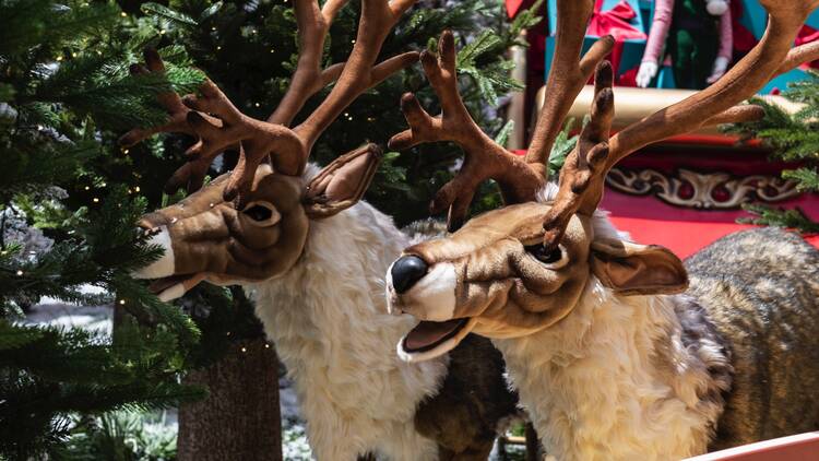 Say hello to talking reindeer