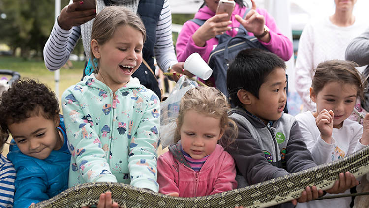 Kids pat a snake.