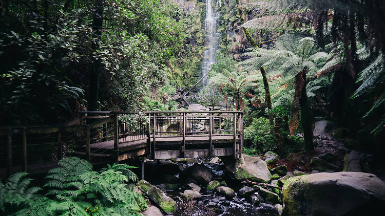 Erskine Falls