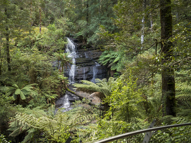 Triplet Falls Triplet Falls, Great Otway Park