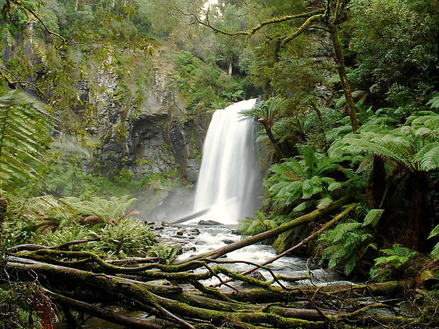 Hopetoun Falls Hopetoun Falls, Great Otway National Park
