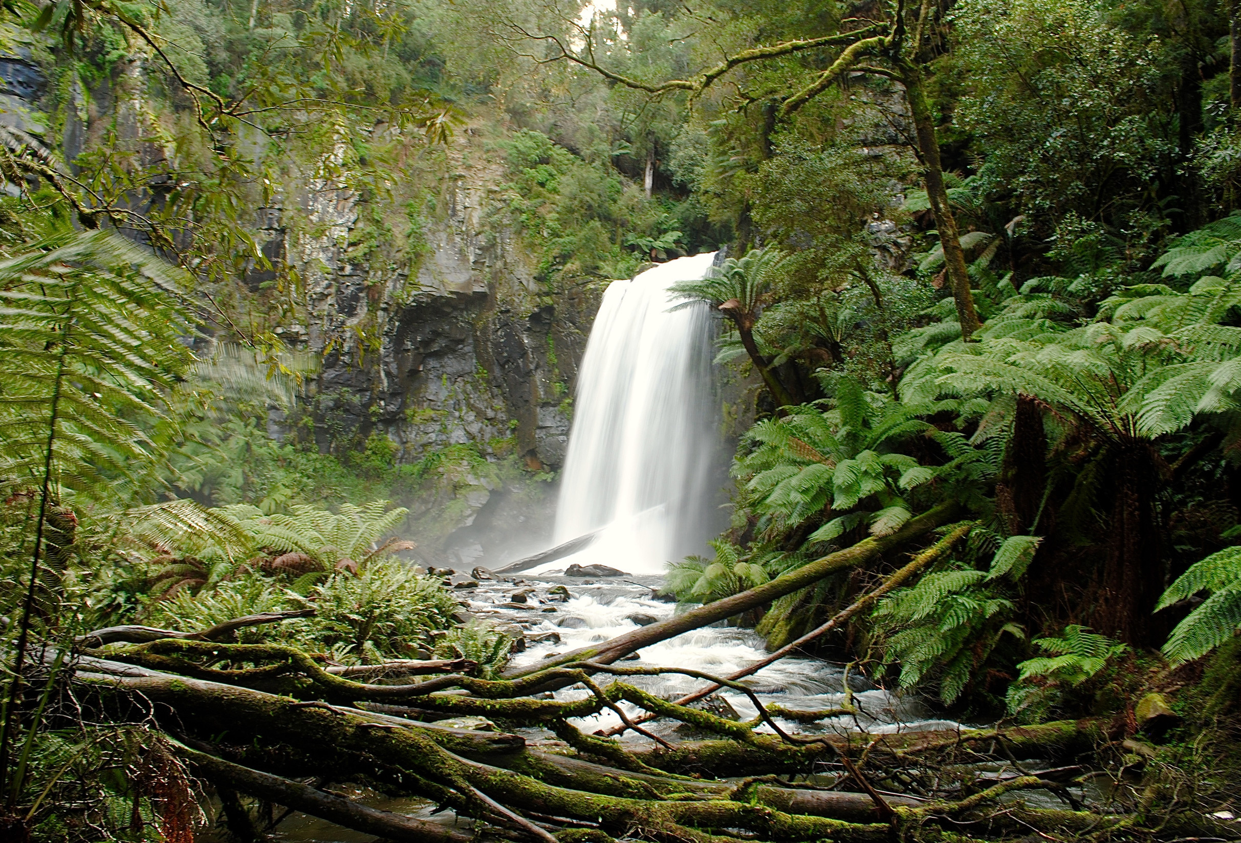 The 11 Best Waterfalls In Victoria Waterfalls Near Melbourne