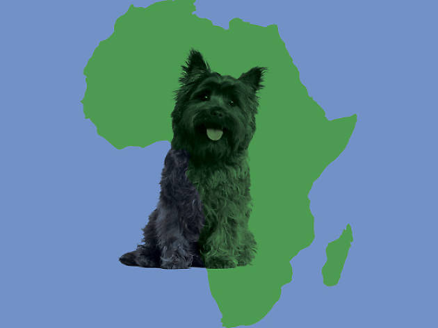totally toto totally toto