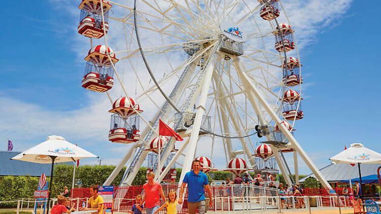 Ferris Wheel