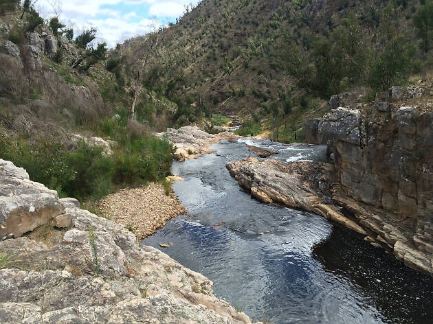Fish Falls Fish Falls