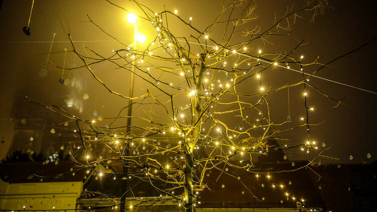 Advent at the European Square