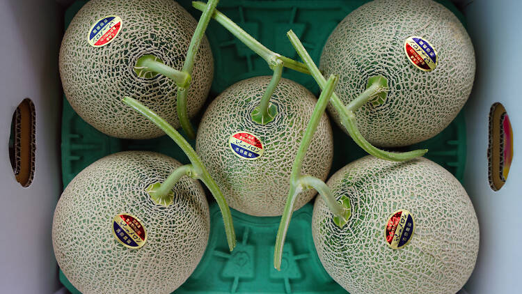 Expensive melons Japan