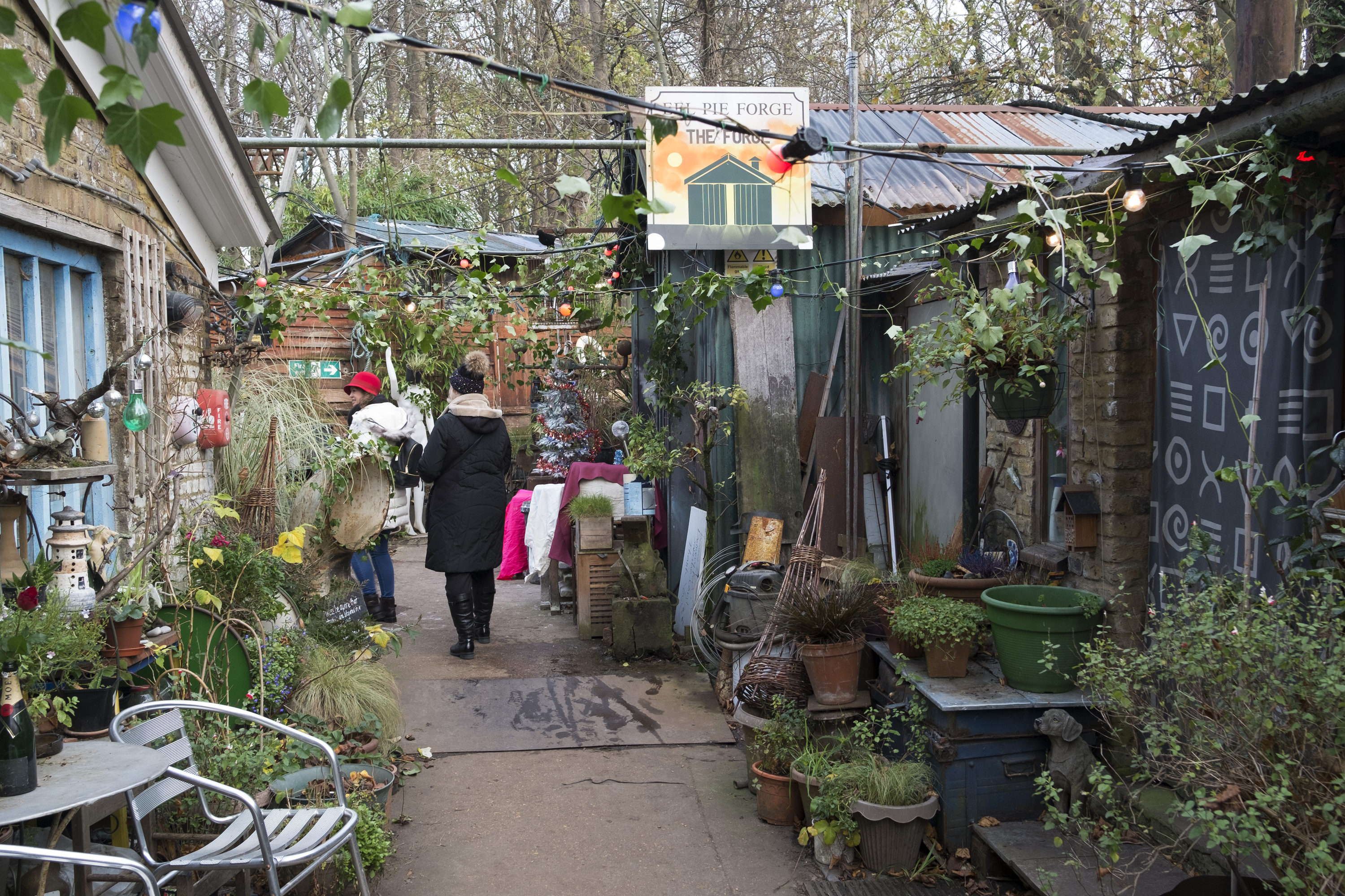 Eel Pie Island At Jack Radcliffe Blog