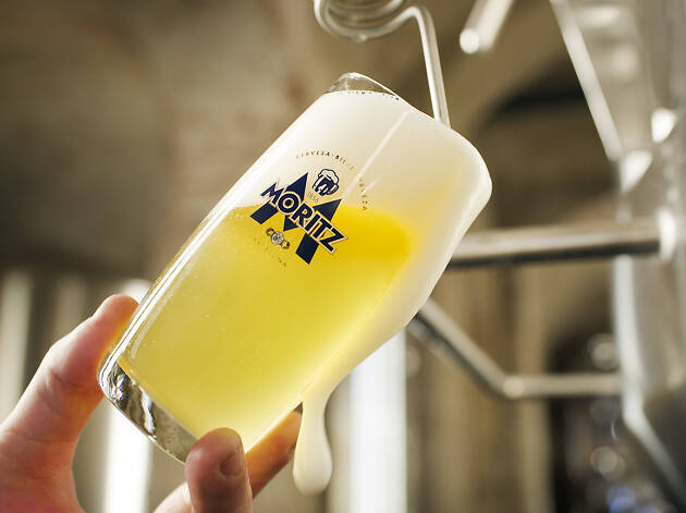 El tast més cerveser El tast més cerveser