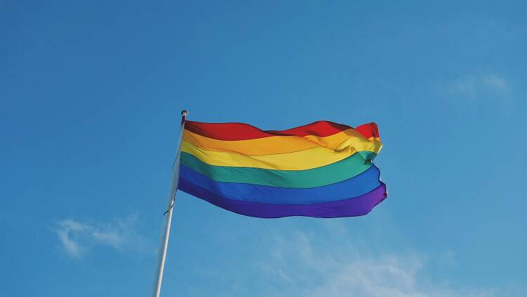 Gay flag