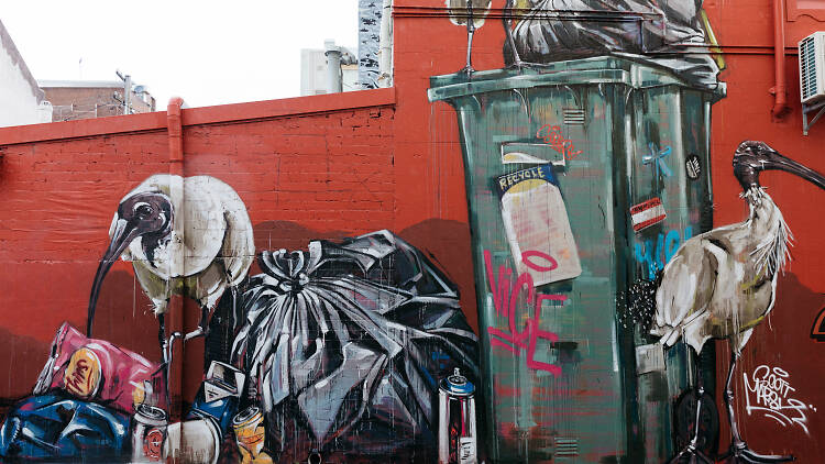 Where to find Sydney's best street art