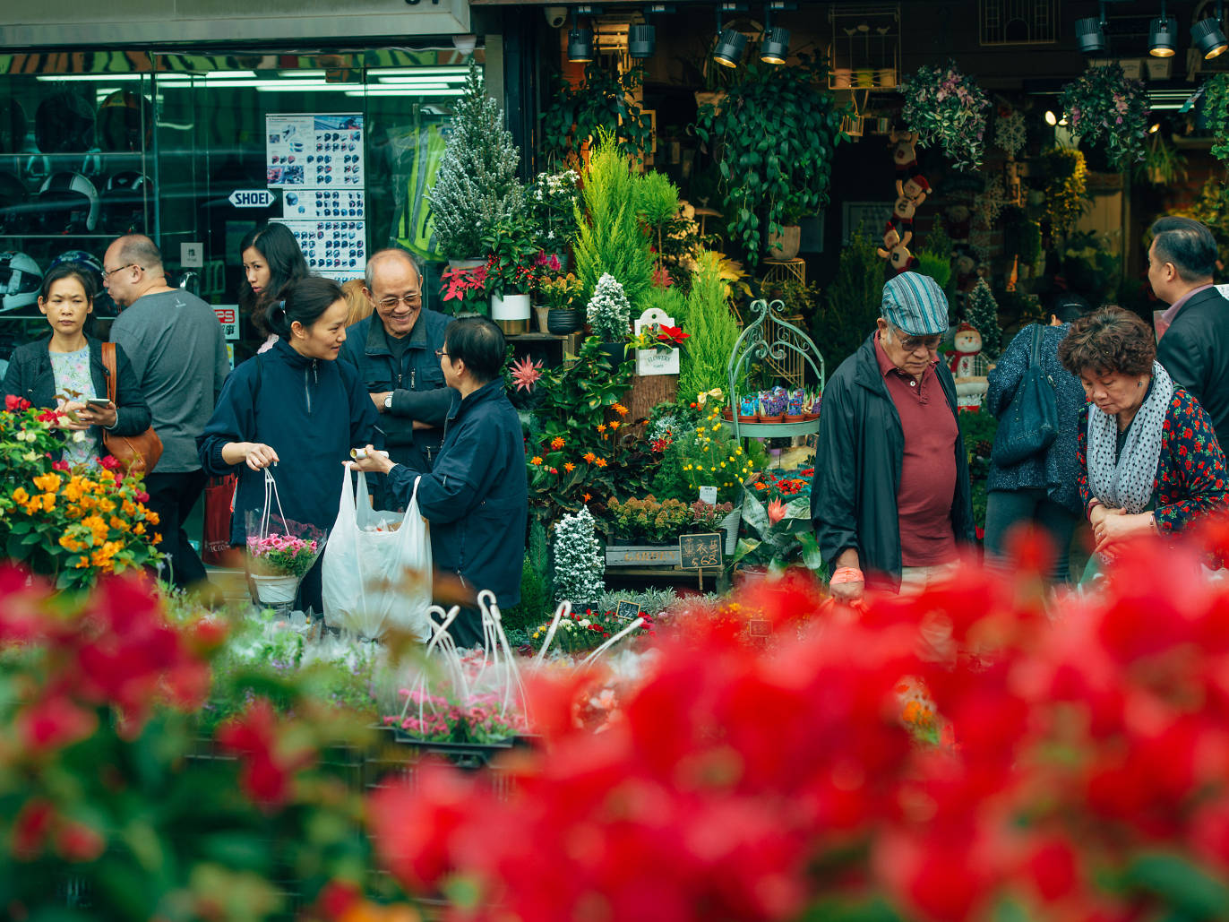 Hong Kong’s best flower shops and florists — Time Out