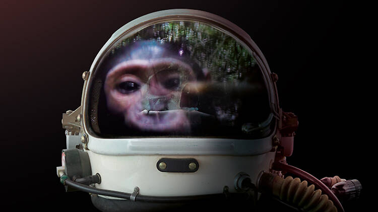 Odiseas de la inteligencia