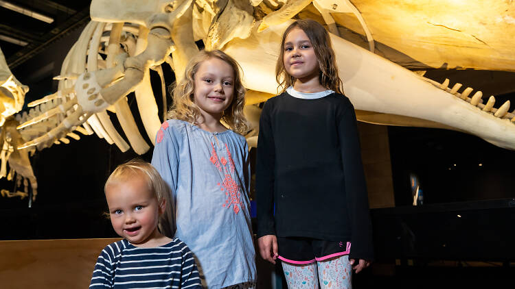 Kids in Whales | Tohorā exhibition.
