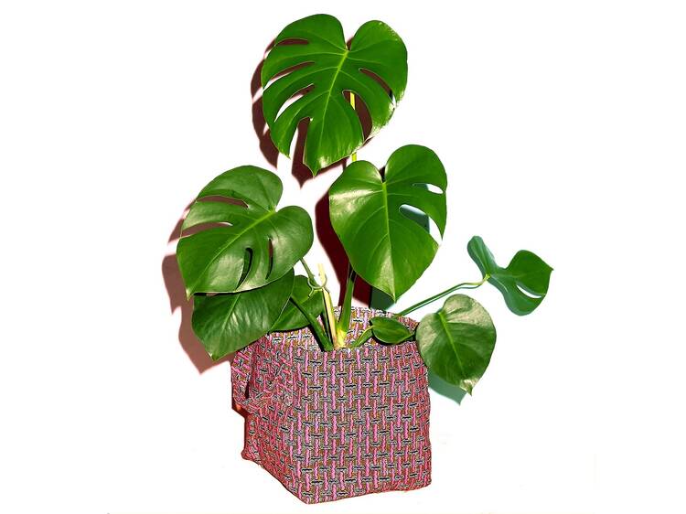 Plant Bag by Yevu