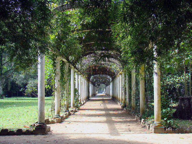 Jardim Botânico Jardim Botânico