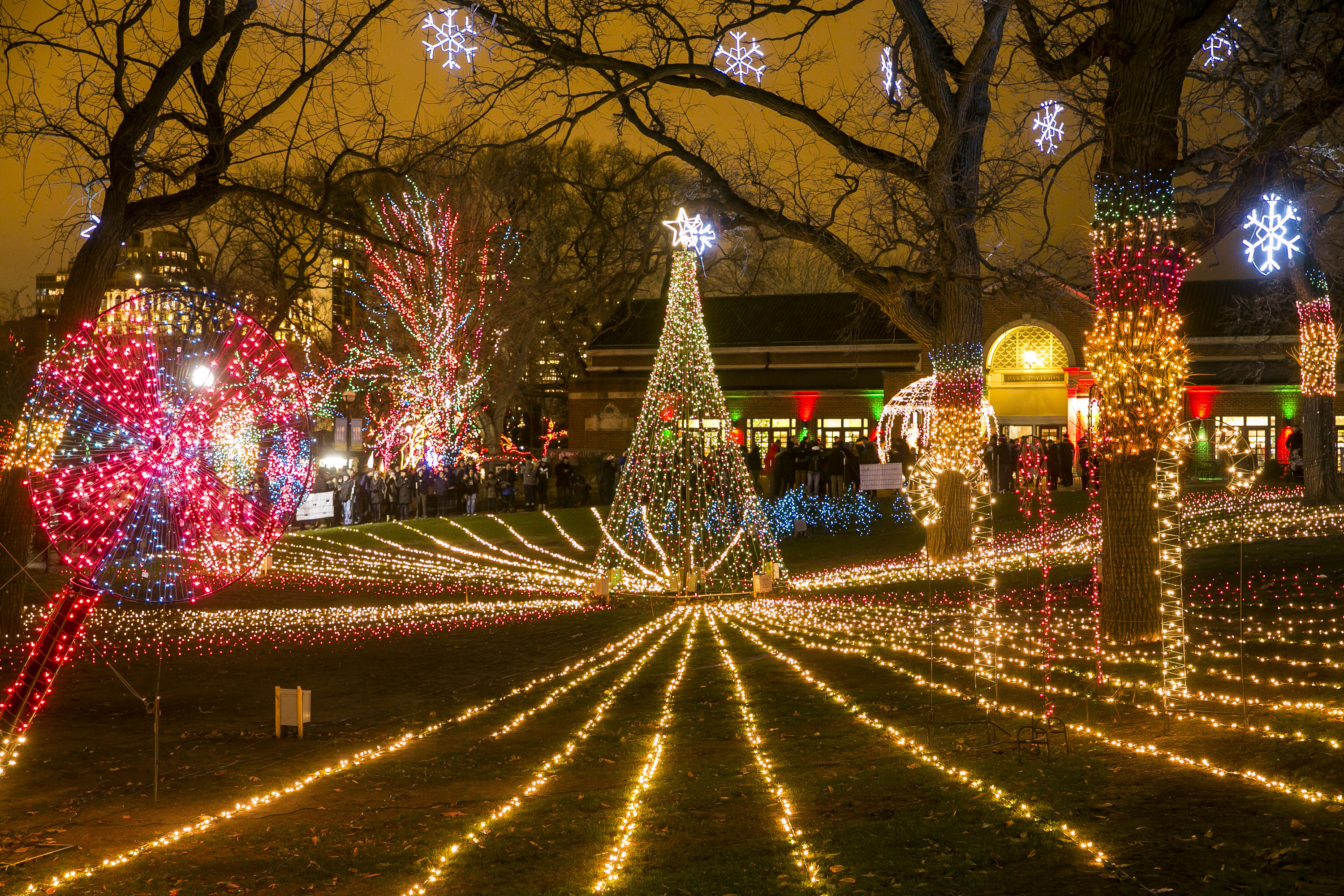 christmas tree light show near me