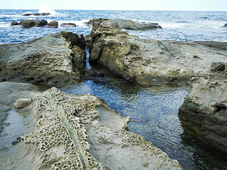 Hunt for whale fossils