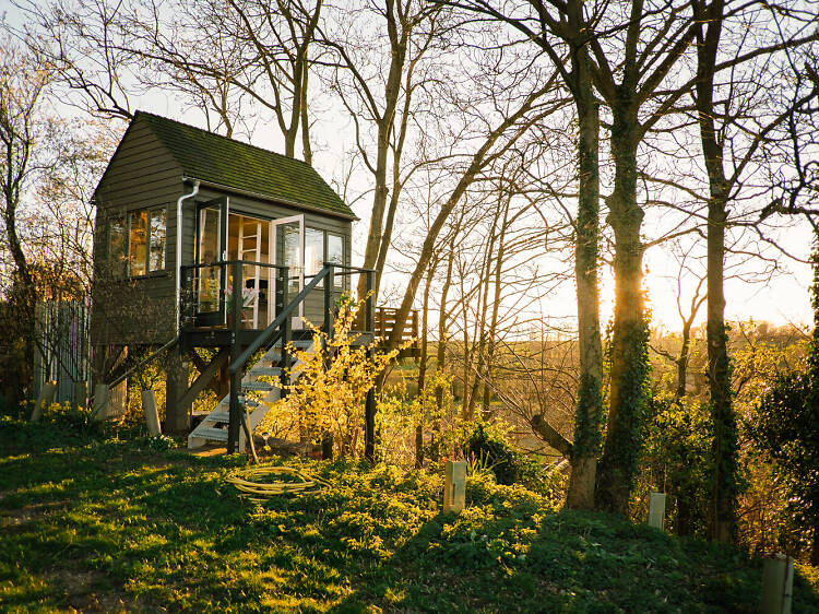 Ted’s Hilltop Treehouse, Norfolk 