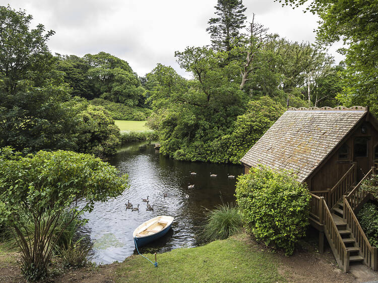 Treehouse on the Lake, Cornwall