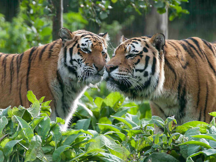 Blackpool Zoo