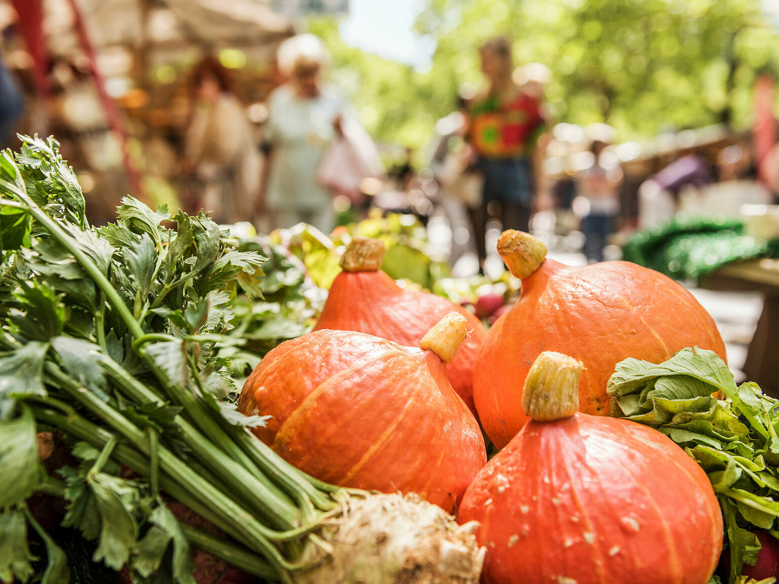 Solitaire visual data 5