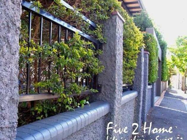 Five 2 Home Backpacker Five 2 Home Backpacker