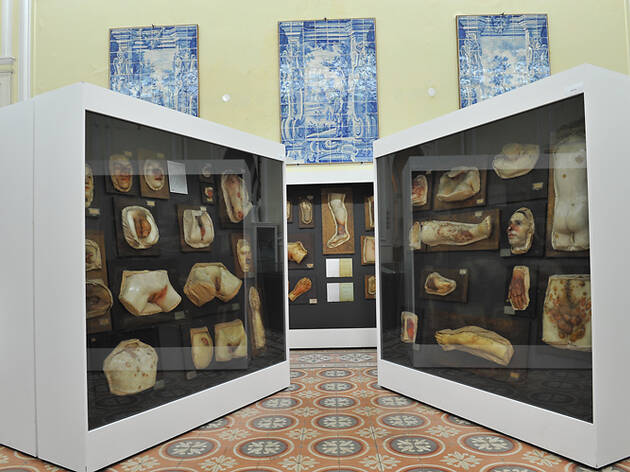 Museu da Dermatologia Portuguesa Dr. Sá Penella Museu da Dermatologia Portuguesa Dr. Sá Penella