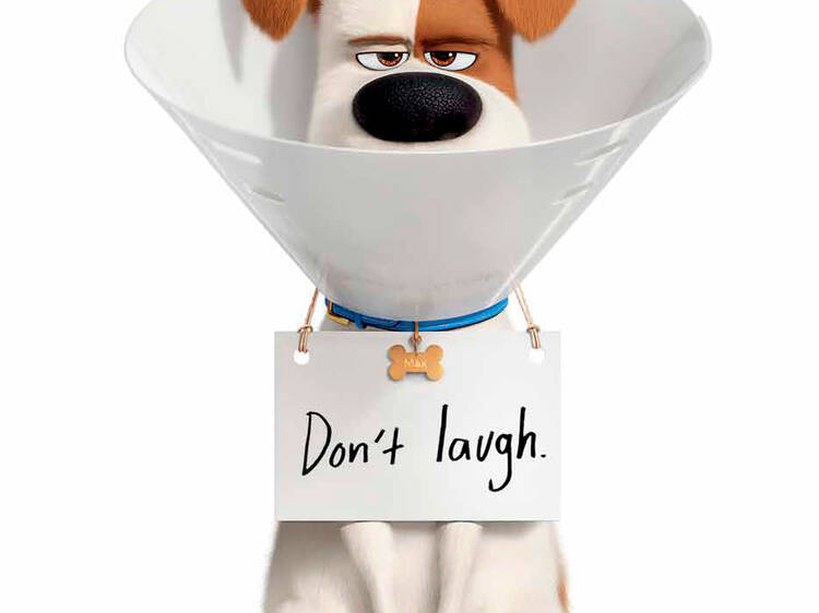 The Secret Life of Pets (2016 + 2019)
