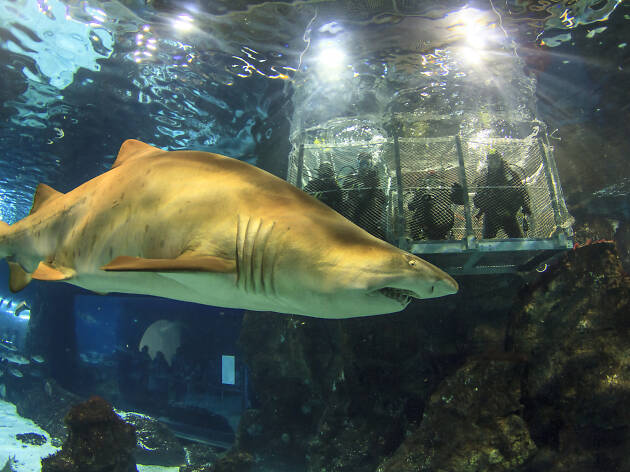 L'Aquàrium Barcelona