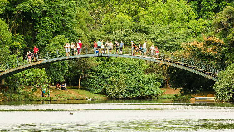 Ibirapuera park