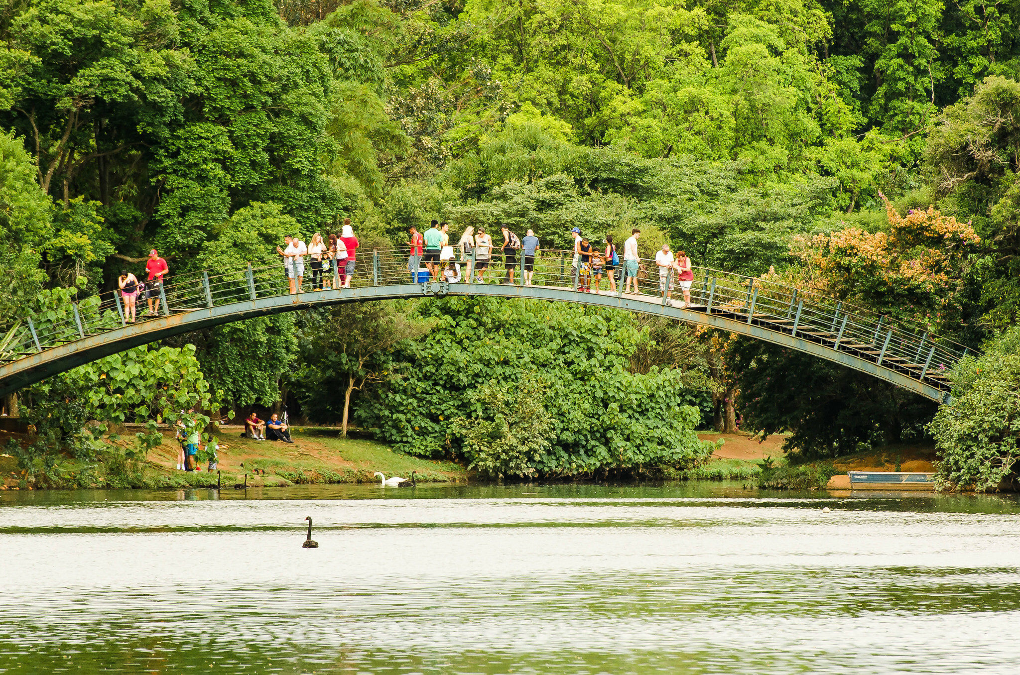 10 epic (and mostly free) things to do in a day in Sao Paulo