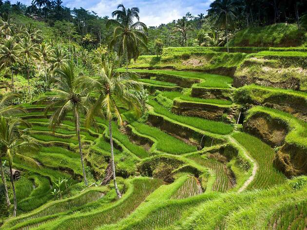 Bali