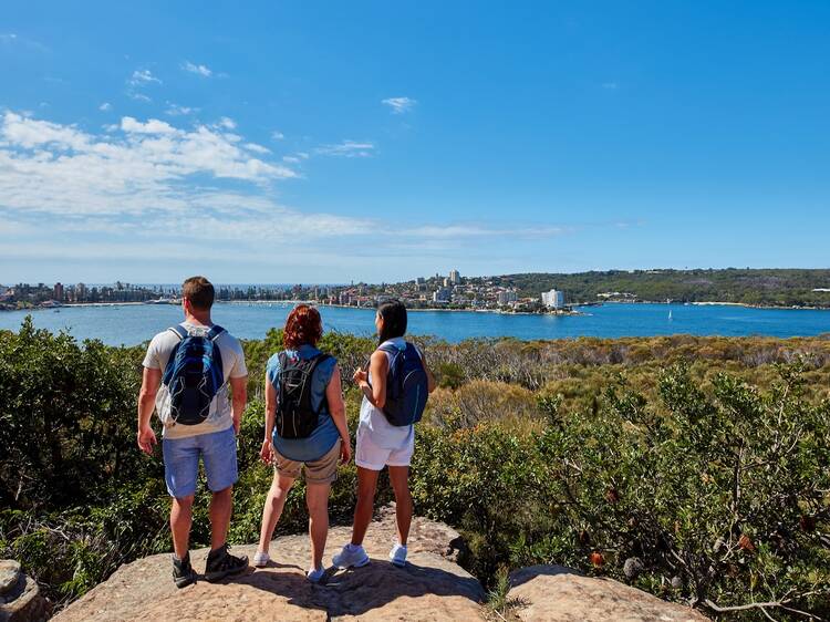 Manly to Spit coastal walk