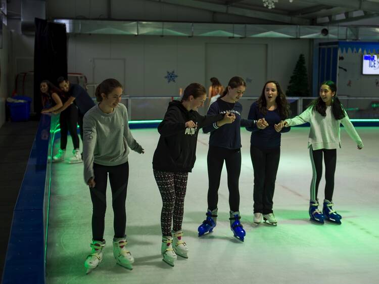 Skate and slide at Ice Zoo