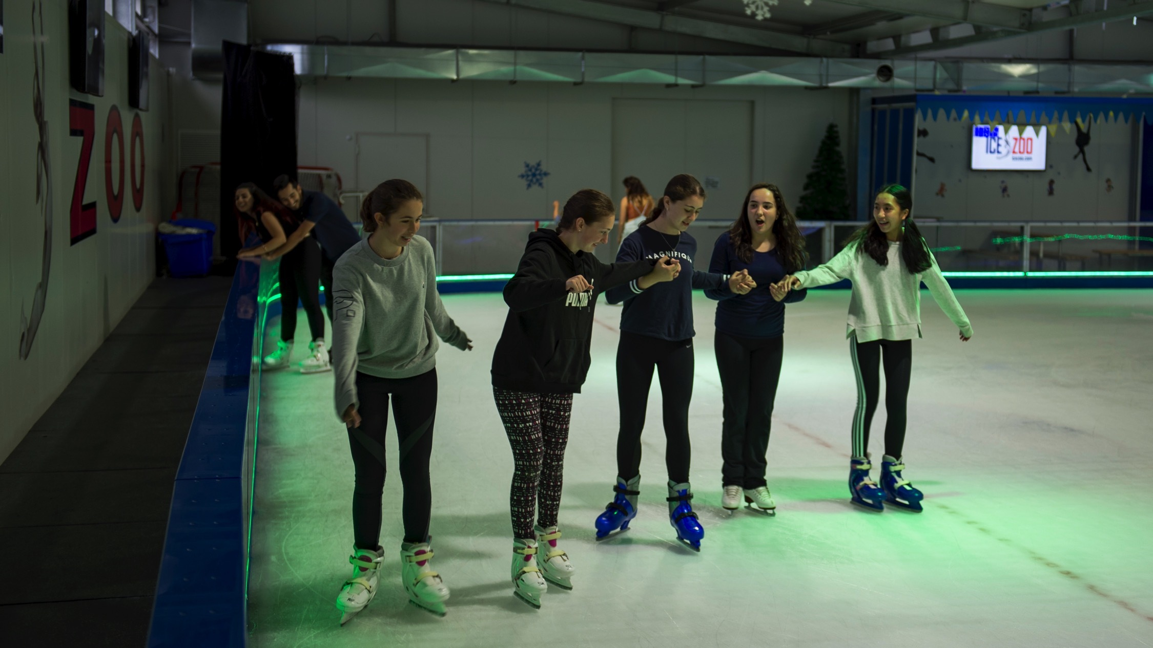 Ice Zoo Things to do in Alexandria, Sydney