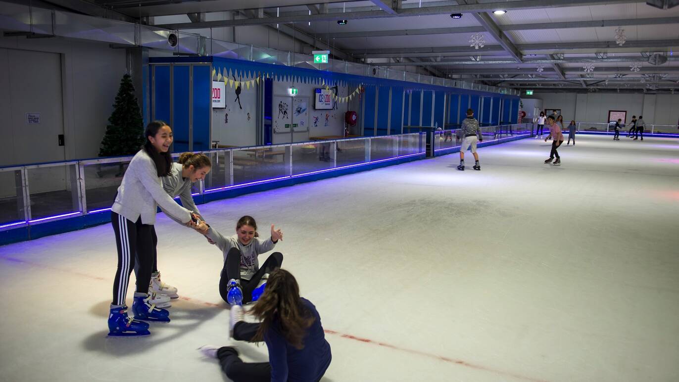 Ice Zoo Things to do in Alexandria, Sydney