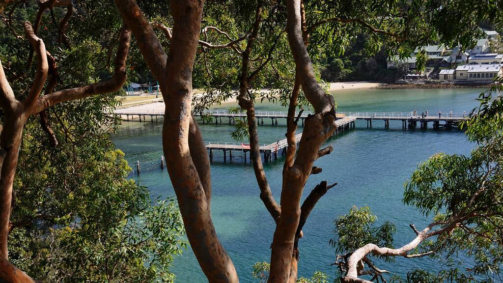 Bradleys Head to Chowder Bay Walk Sport and fitness in Mosman, Sydney