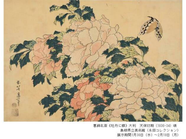 Hokusai Updated Hokusai Updated